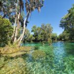 citrus springs florida