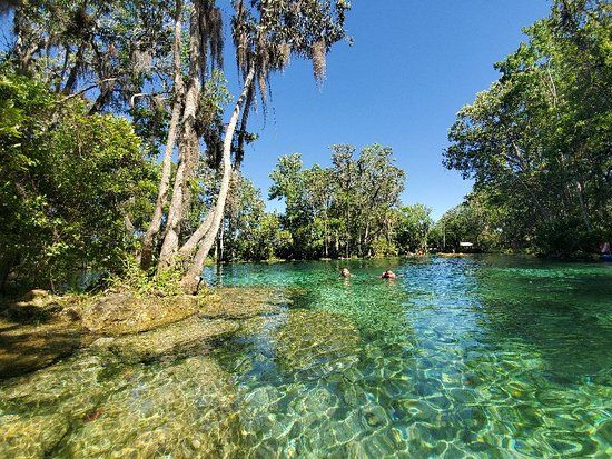 citrus springs florida